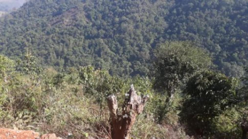 Araku Valley Galikonda View Point Landscape Image